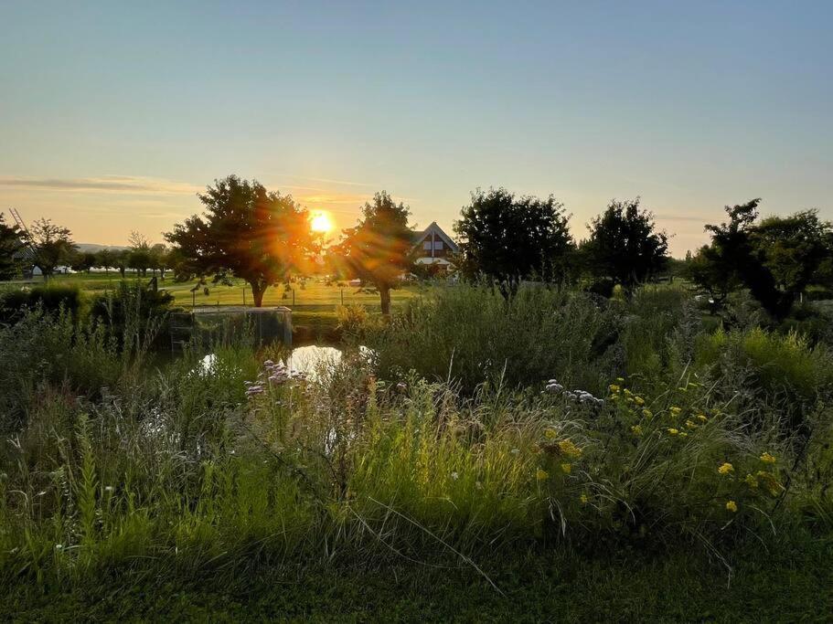 Villa des Vergers Le Conihout du Mesnil Esterno foto